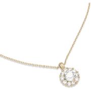 Lily and Rose Sofia necklace   Crystal