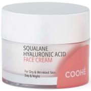 Coohé Youth-Glow Solution Squalane Hyaluronic Face Cream 50 ml