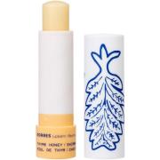 Korres Lip Balm Thyme Honey