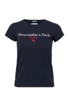Anf Womens Graphics Abercrombie & Fitch Blue