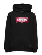 Levi's® Batwing Screenprint Hooded Pullover Levi's Black