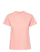 Casual Tomorrow Tee Tomorrow Pink