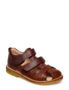 Sandals - Flat - Closed Toe - ANGULUS Brown