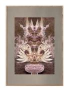 Vintage Reflection Cc3 ChiCura Patterned