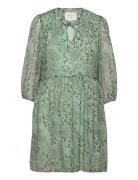 Yemi Animaux Dress Dante6 Green