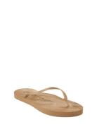 Slim Flip Flop SLEEPERS Beige