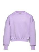 Kogscarlett L/S Short O-Neck Bo Swt Kids Only Purple