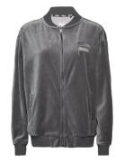 Comacchio College Jacket FILA Grey