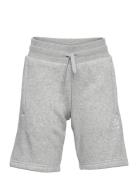 Shorts Adidas Originals Grey
