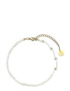 Daisy Freshwater Bracelet Sui Ava Gold
