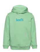Levi's Poster Logo Pullover Hoodie Levi's Green