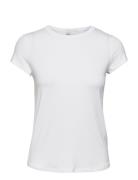 16 The Modal Tee My Essential Wardrobe White