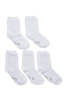 Ankle Sock -Solid Minymo White