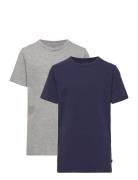 Basic 32 -T-Shirt Ss Minymo Grey