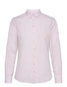 Frzaoxford 1 Shirt Fransa Pink