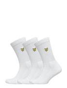 Hamilton Lyle & Scott White