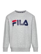 Babina Greda Classic Logo Crew Sweat FILA Grey