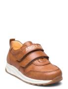 Shoes - Flat - With Velcro ANGULUS Brown