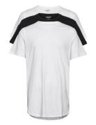 Jjenoa Tee Ss Crew Neck 3Pk Mp Noos Jack & J S White