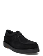 Shoes - Flat - With Lace ANGULUS Black