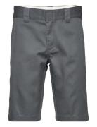 Slim Fit Short Rec Dickies Grey