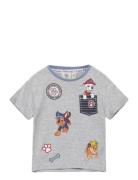 Short-Sleeved T-Shirt Paw Patrol Grey