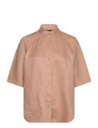 Shirts Armani Exchange Brown