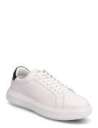 Low Top Lace Up Lth Calvin Klein White