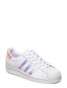 Superstar Shoes Adidas Originals White