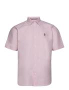 Uspa Shirt Ss Bennett Men U.S. Polo Assn. Pink