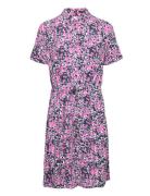 Chichi Dress Fabienne Chapot Pink