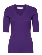 Dagnaiw V T-Shirt InWear Purple