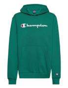 Hooded Sweatshirt Champion Green