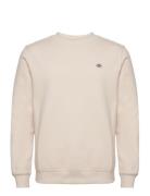 Oakport Sweatshirt Dickies Cream
