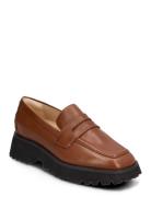 Stayso Edge Clarks Brown