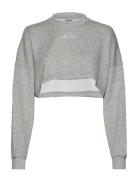 Comfy Crop Sweatshirt AIM'N Grey