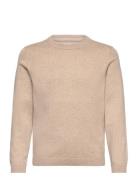 Knit Cotton Sweater Mango Beige