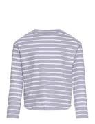 Striped Long Sleeves T-Shirt Mango Purple