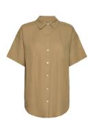 Saccars Shirt Unisex Résumé Brown