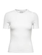 Modal Rib Crew Neck Tee Calvin Klein White