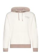 Hco. Guys Sweatshirts Hollister White