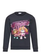 Nmfoditte Pawpatrol Sweat Bru Cplg Name It Navy