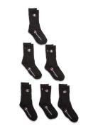 6Pk Crew Socks Champion Black