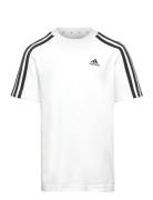 U 3S Tee Adidas Sportswear White
