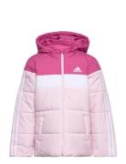 Padded Jacket Kids Adidas Sportswear Pink