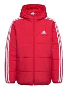 3-Stripes Padded Jacket Kids Adidas Sportswear Red