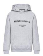 Borg Logo Hoodie Björn Borg Grey