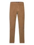 Hco. Guys Pants Hollister Brown