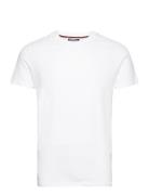 Essential Small Logo Tshirt Superdry White