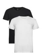 C-Neck T-Shirt 2-Pack GANT Patterned